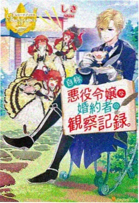 午夜视频免费网站 奇幻爱情 寂静之声
